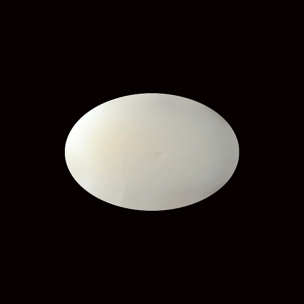 White Coral - 5.53 carats